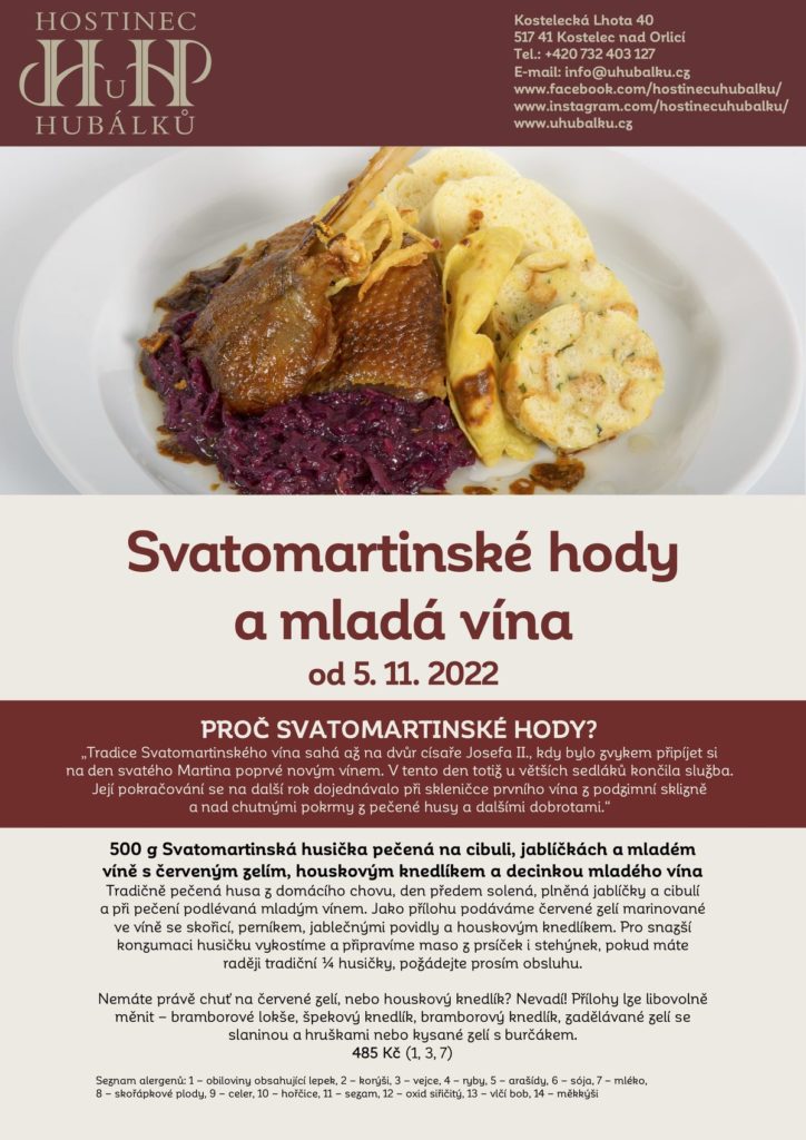 Svatomartinské hody